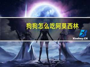 狗狗怎么吃阿莫西林