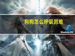 狗狗怎么呼吸困难