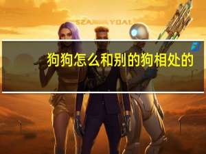 狗狗怎么和别的狗相处的