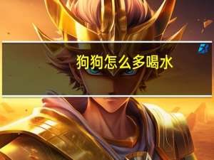 狗狗怎么多喝水