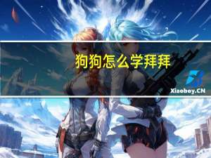 狗狗怎么学拜拜