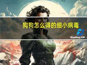 狗狗怎么得的细小病毒