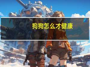 狗狗怎么才健康