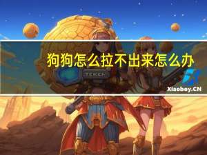 狗狗怎么拉不出来怎么办