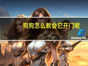 狗狗怎么教会它开门呢