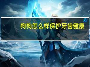 狗狗怎么样保护牙齿健康