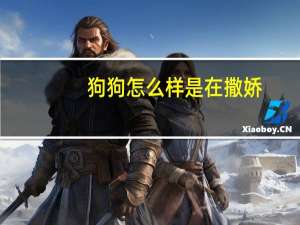 狗狗怎么样是在撒娇