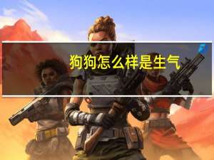 狗狗怎么样是生气