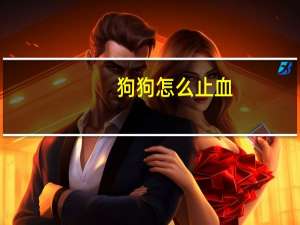 狗狗怎么止血