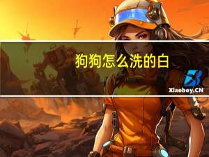 狗狗怎么洗的白