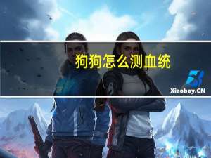 狗狗怎么测血统