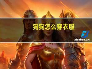 狗狗怎么穿衣服