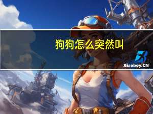 狗狗怎么突然叫