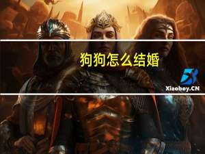狗狗怎么结婚