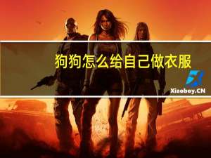 狗狗怎么给自己做衣服