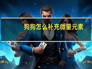 狗狗怎么补充微量元素