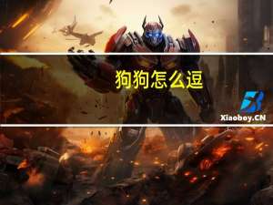 狗狗怎么逗