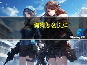 狗狗怎么长胖