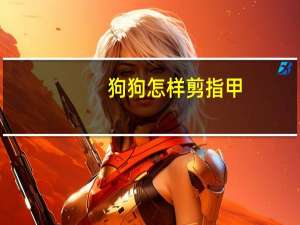 狗狗怎样剪指甲