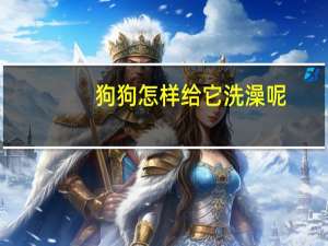 狗狗怎样给它洗澡呢