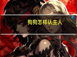 狗狗怎样认主人