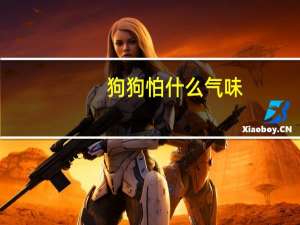 狗狗怕什么气味