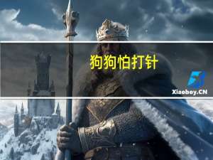 狗狗怕打针