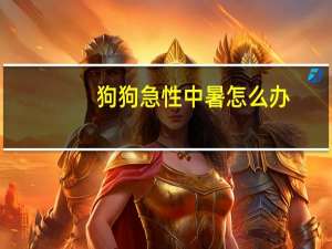 狗狗急性中暑怎么办