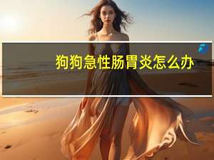 狗狗急性肠胃炎怎么办