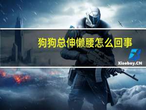 狗狗总伸懒腰怎么回事