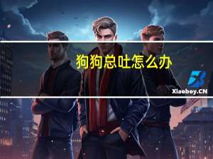 狗狗总吐怎么办