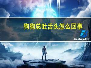 狗狗总吐舌头怎么回事