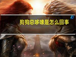 狗狗总哆嗦是怎么回事