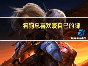 狗狗总喜欢咬自己的脚