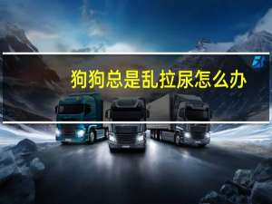 狗狗总是乱拉尿怎么办