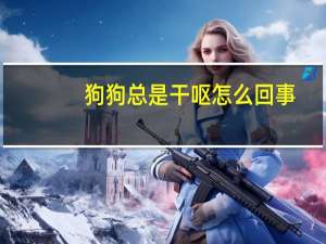 狗狗总是干呕怎么回事