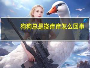 狗狗总是挠痒痒怎么回事