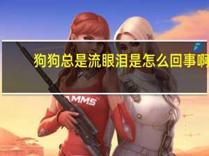 狗狗总是流眼泪是怎么回事啊