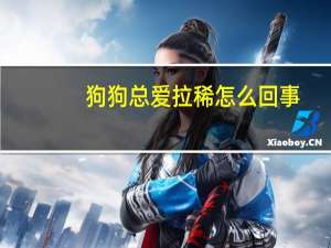 狗狗总爱拉稀怎么回事