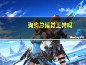 狗狗总睡觉正常吗