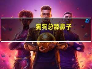 狗狗总舔鼻子