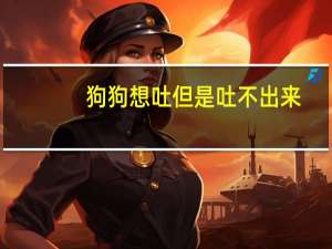 狗狗想吐但是吐不出来