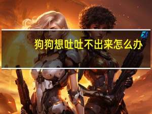 狗狗想吐吐不出来怎么办