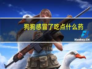 狗狗感冒了吃点什么药