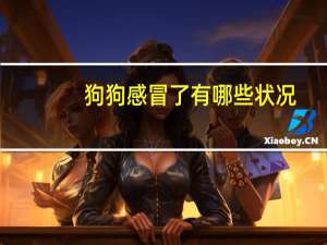 狗狗感冒了有哪些状况