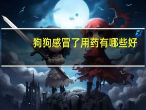 狗狗感冒了用药有哪些好