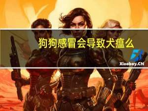 狗狗感冒会导致犬瘟么