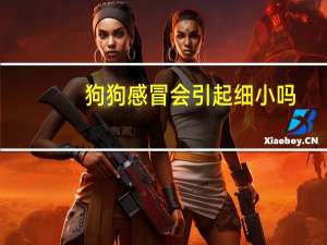狗狗感冒会引起细小吗