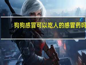 狗狗感冒可以吃人的感冒药吗