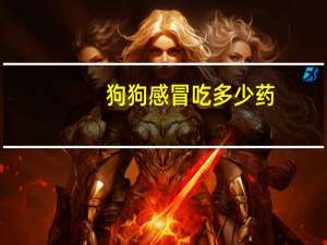 狗狗感冒吃多少药